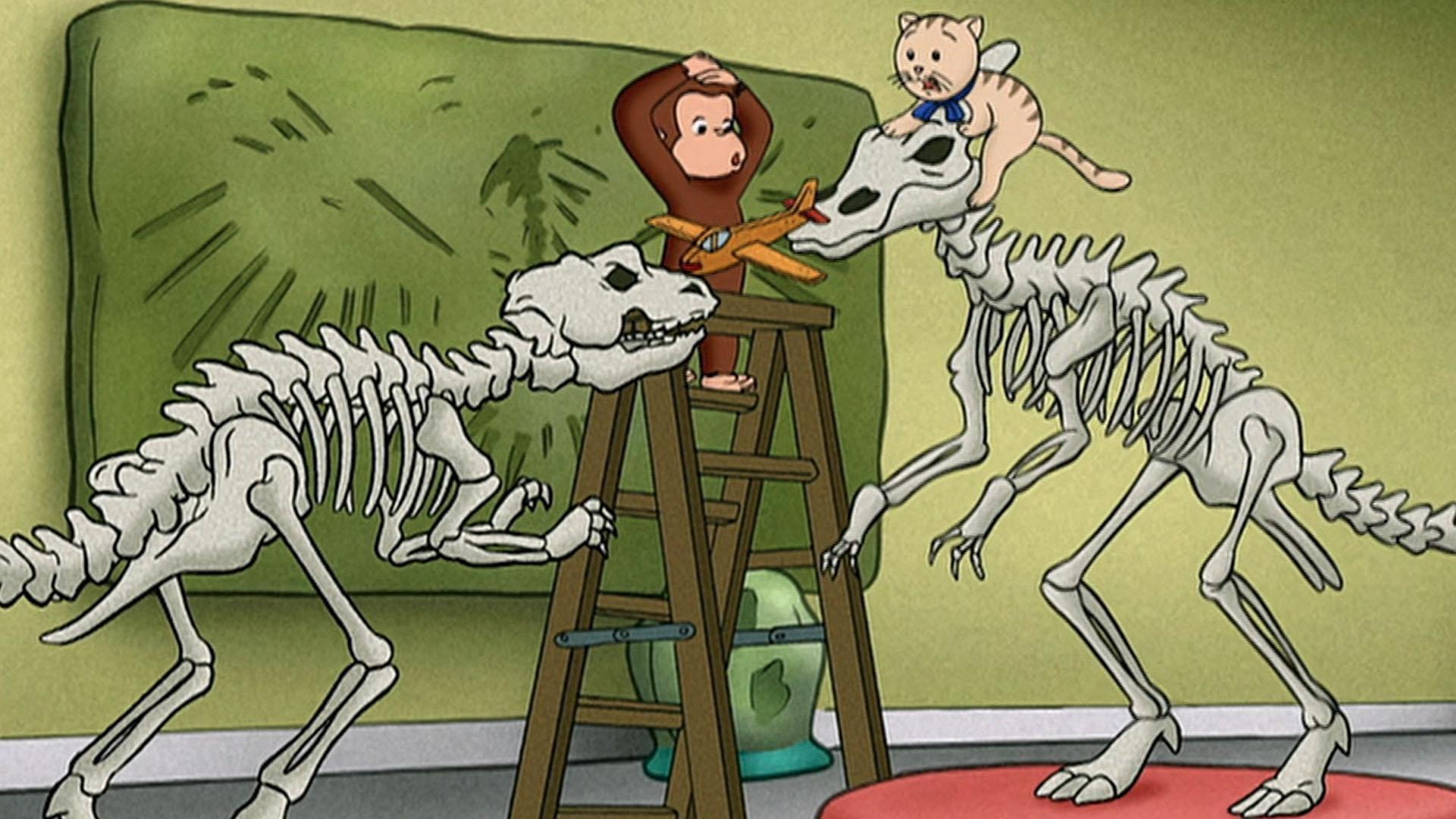 George loves to feed the birds but Jumpy keeps eating their seeds!/George organizes dinosaur bones.