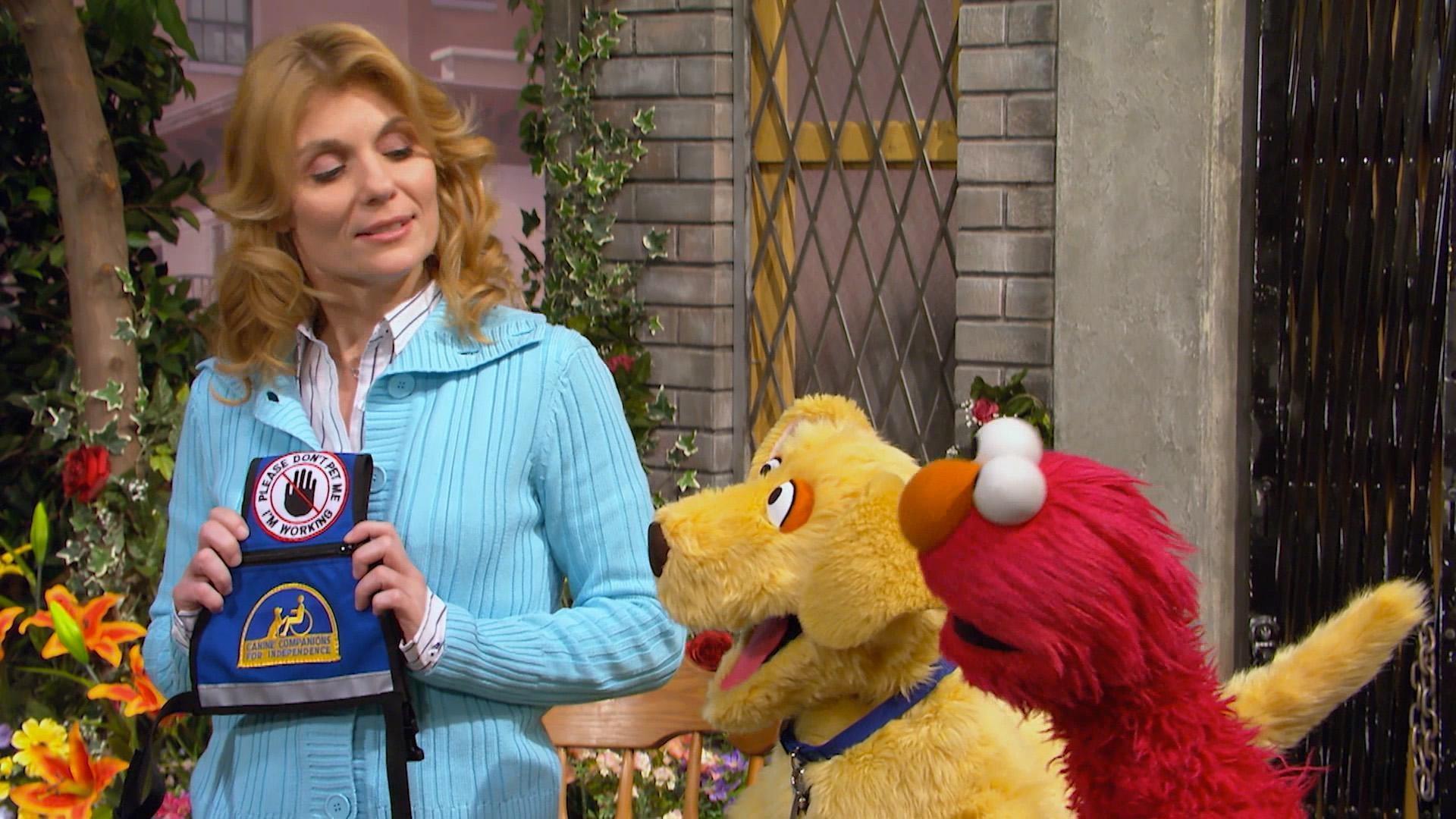 Brandeis sings about his dream job and wanting to be a service dog.