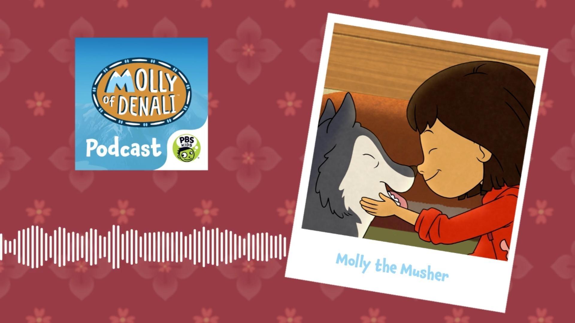 Molly agrees to take Tooey's place as a musher in the race because he isn't feeling well!