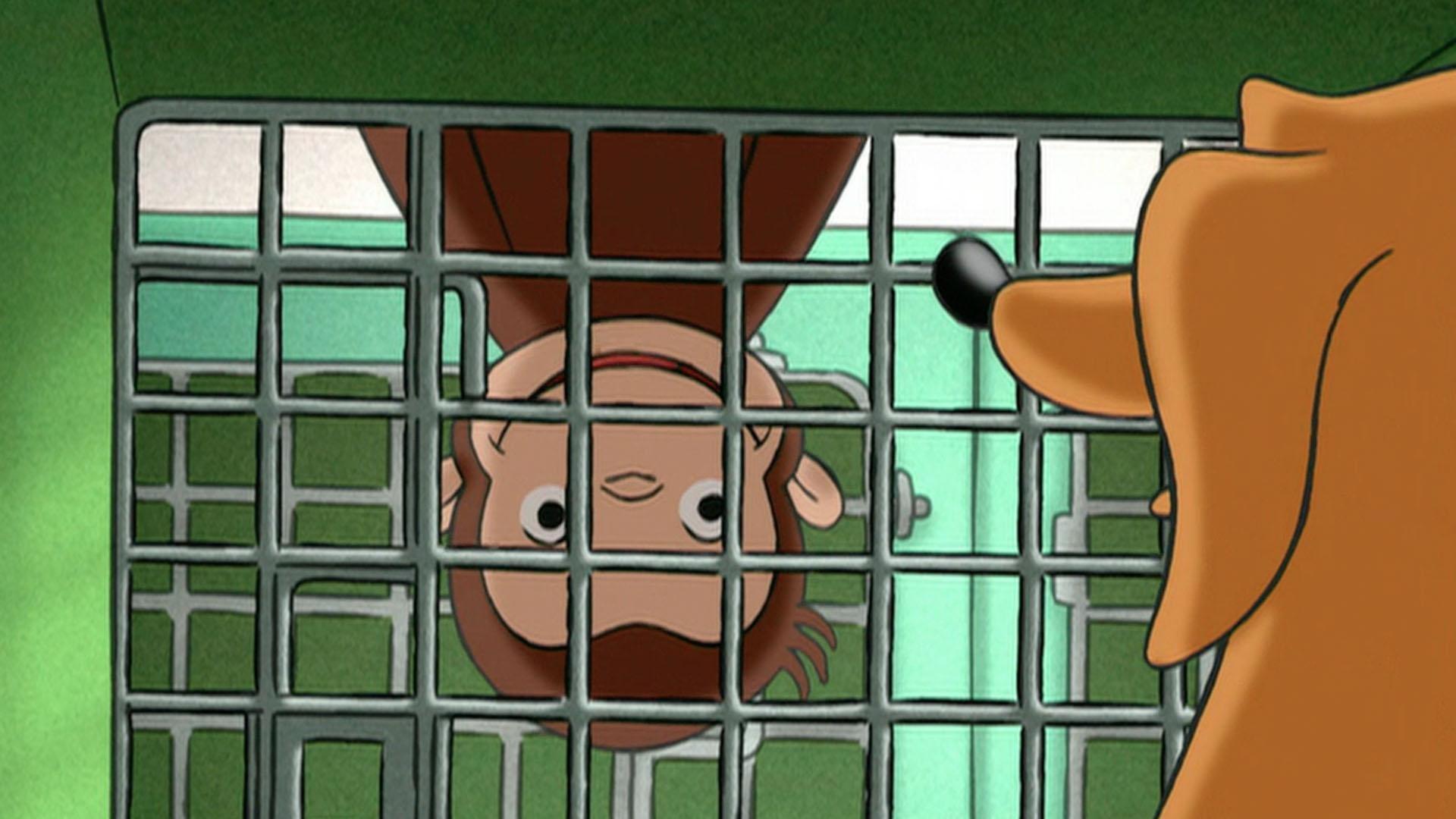 Hundley is in the local pet shelter by mistake./George is in the grocery "Bag Olympics."