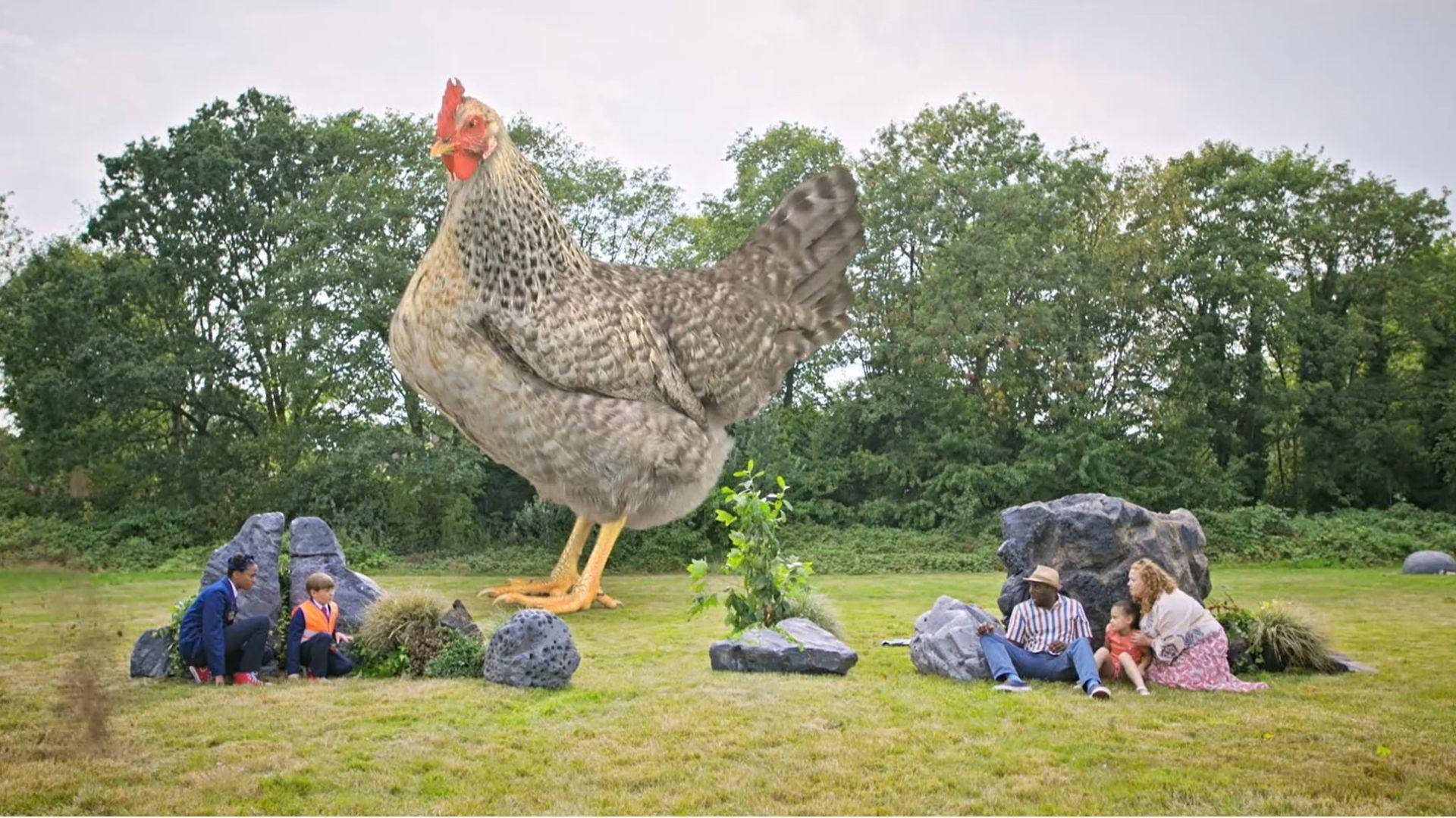 Odd Squad must track down a mysterious creature./A new recruit must complete his training.