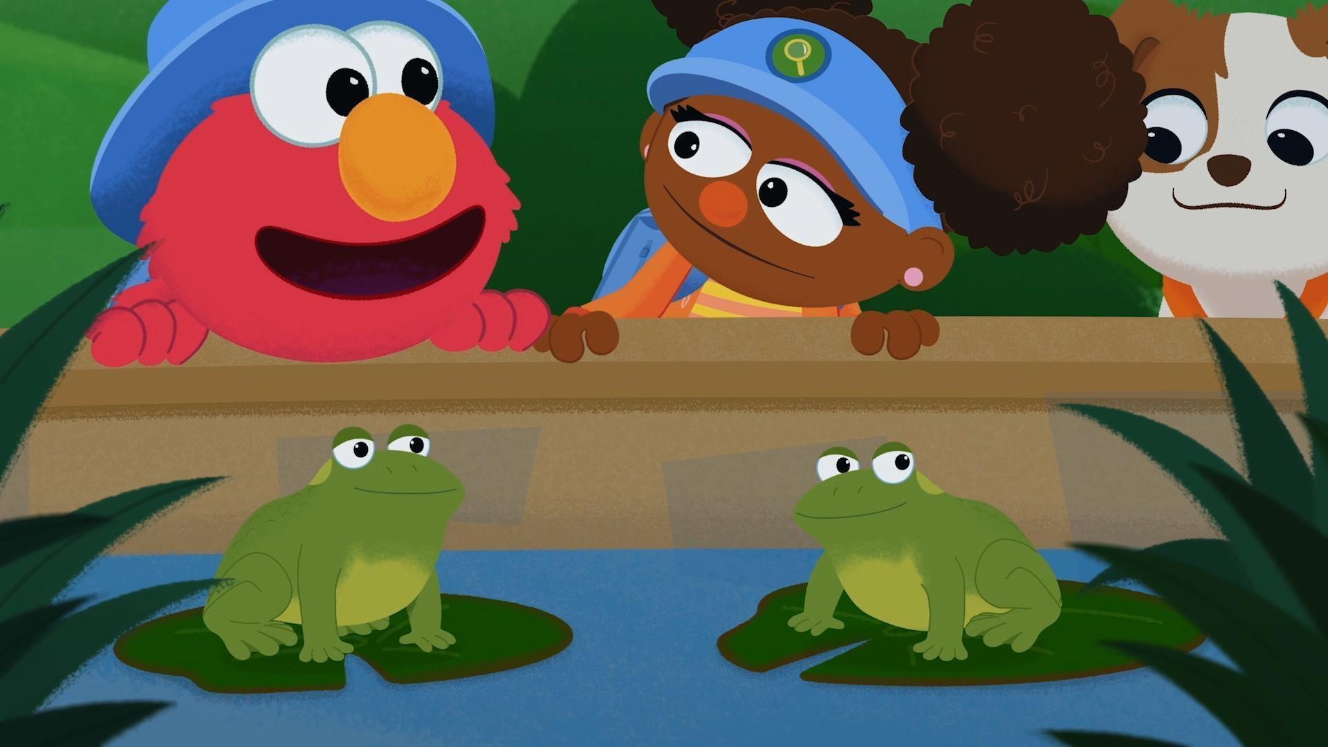 Elmo and Gabrielle explore nature to find the different animals that come out at night!