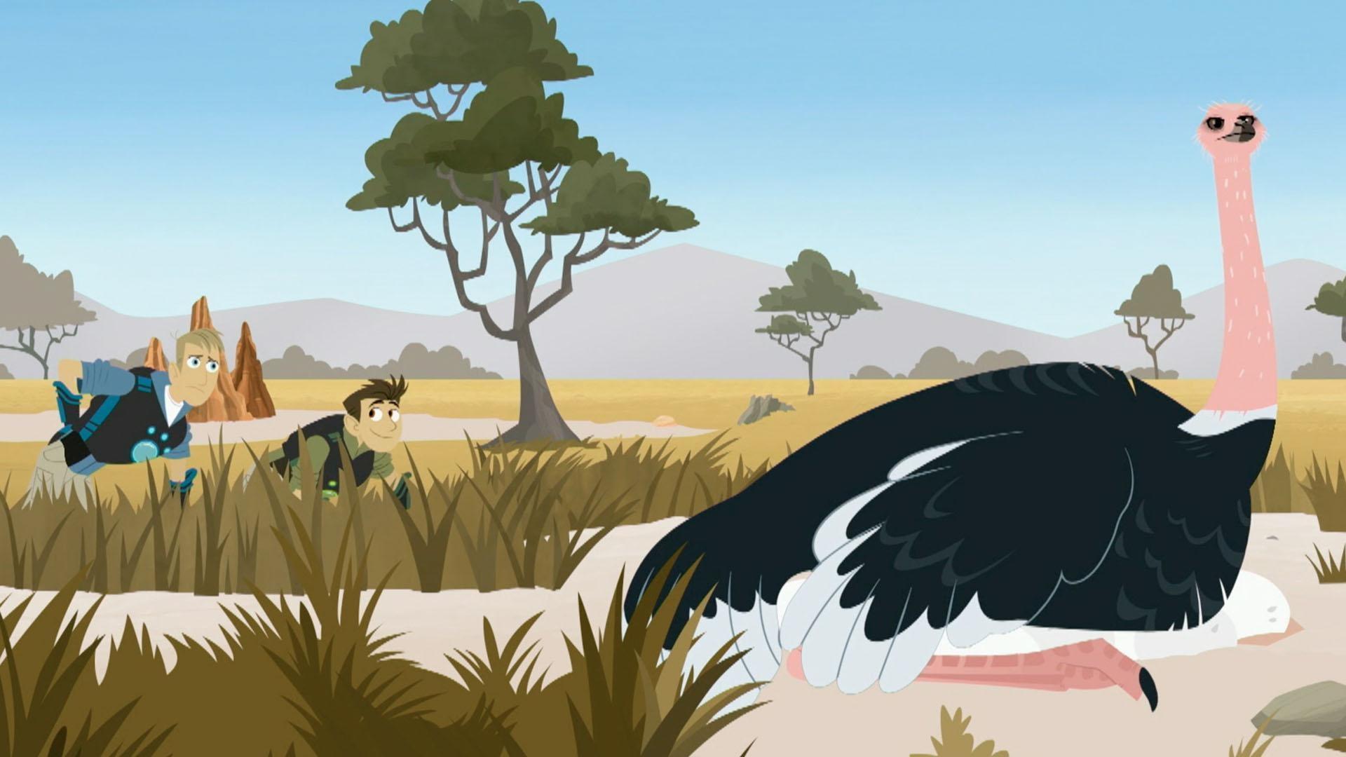 Aviva's plans get blown into an ostrich nest!