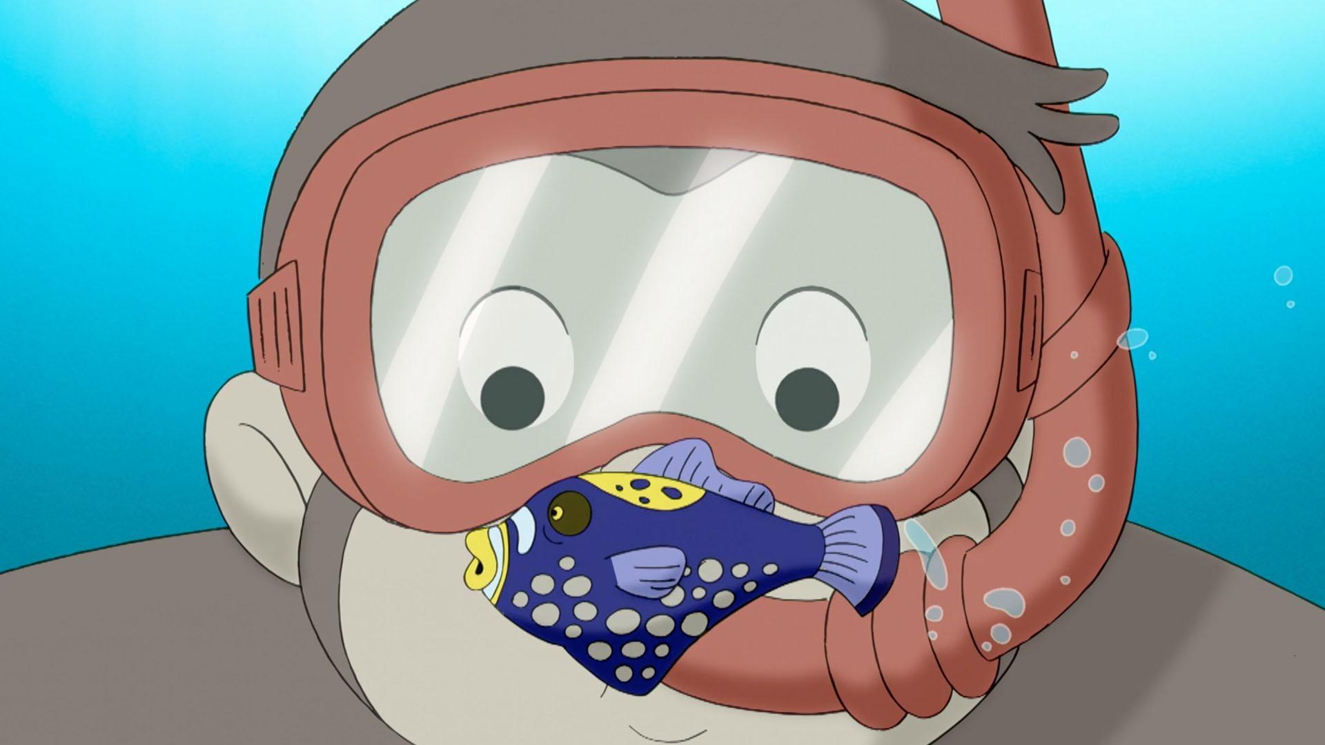 George visit coral reef but gets stranded at night. / George discovers a jug that "hoots."