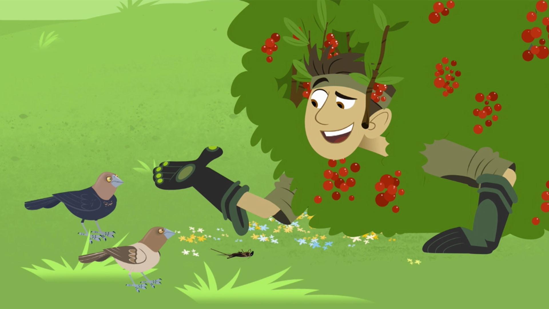 Martin and Chris set out to uncover the identity of a mystery creature on the prairie.