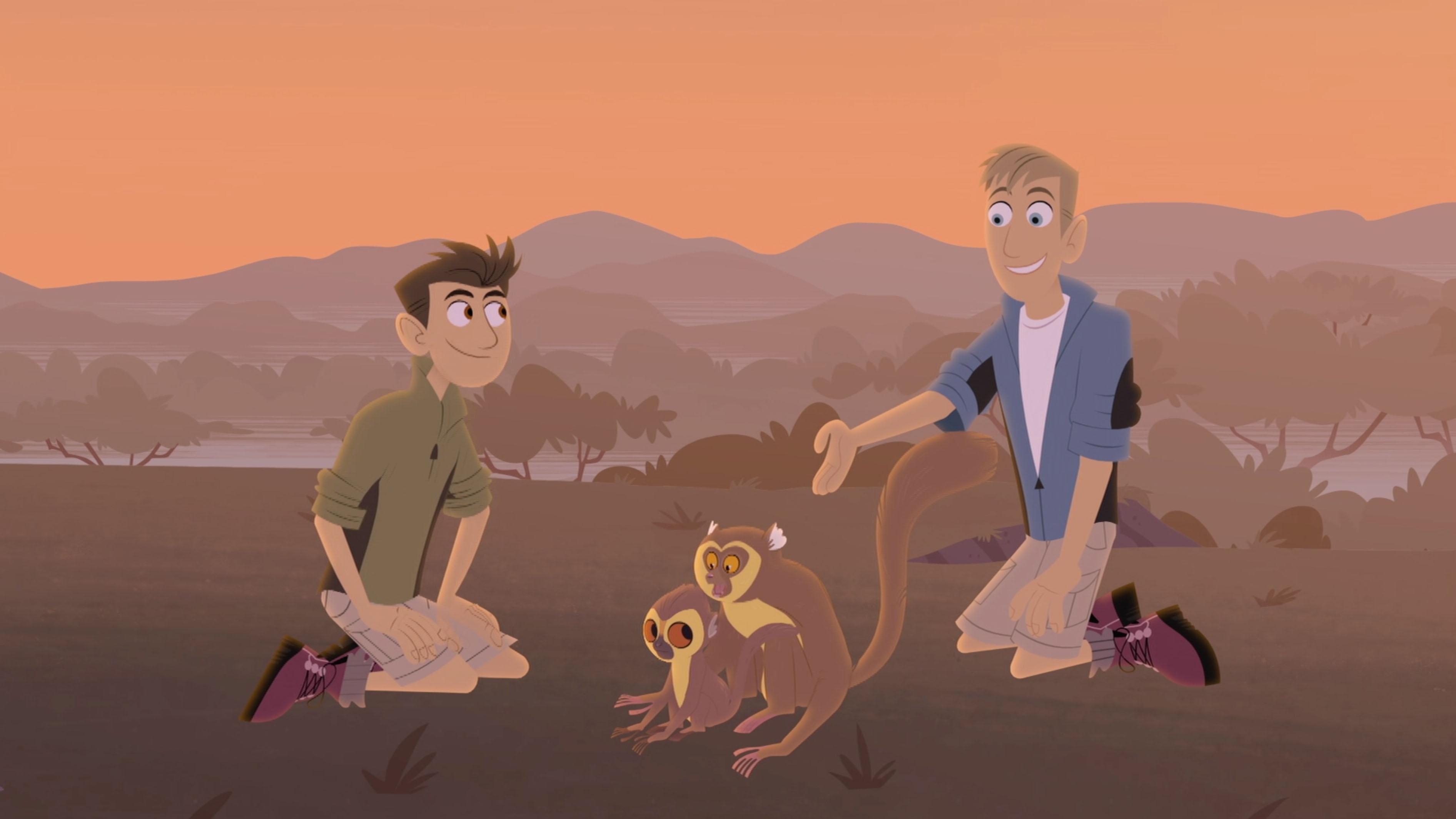 The Kratts visit a new golden bamboo lemur, born in the cloud forest region of Madagascar.
