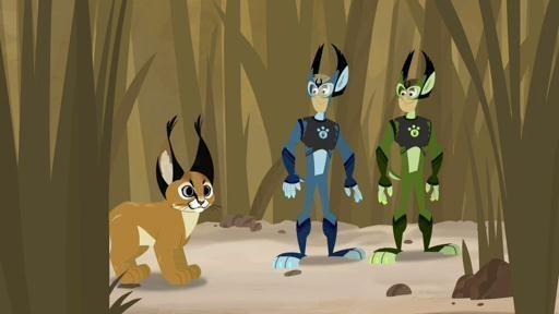 The Kratts' game of badminton comes to a halt when a caracal decides to jump in.