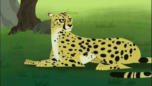 No creature or vehicle can travel as fast over the rough African savannah as the cheetah.