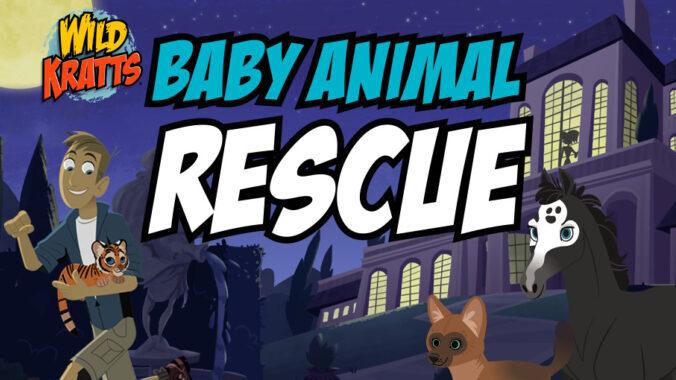 Wild Kratts Baby Animal Rescue