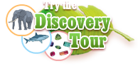 Try the Discovery Tour